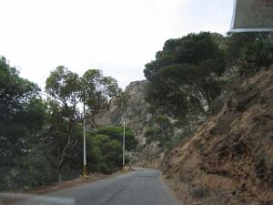 VOYAGE ORAN SEPTEMBRE 2006 104 13 SEPT. 06 - MATIN -SUR LA ROUTE DES PLANTEURS VERS SANTA CRUZ